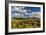 Saguaro National Park, Arizona-Ian Shive-Framed Photographic Print