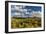 Saguaro National Park, Arizona-Ian Shive-Framed Photographic Print