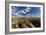 Saguaro National Park, Arizona-Ian Shive-Framed Photographic Print