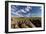 Saguaro National Park, Arizona-Ian Shive-Framed Photographic Print