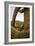 Saguaro National Park, Arizona-Ian Shive-Framed Photographic Print