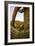 Saguaro National Park, Arizona-Ian Shive-Framed Photographic Print