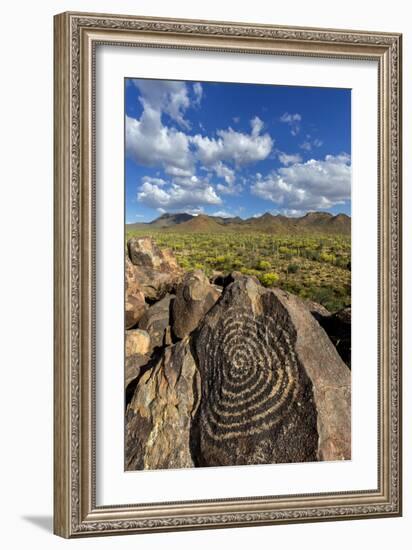 Saguaro National Park, Arizona-Ian Shive-Framed Photographic Print