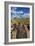 Saguaro National Park, Arizona-Ian Shive-Framed Photographic Print