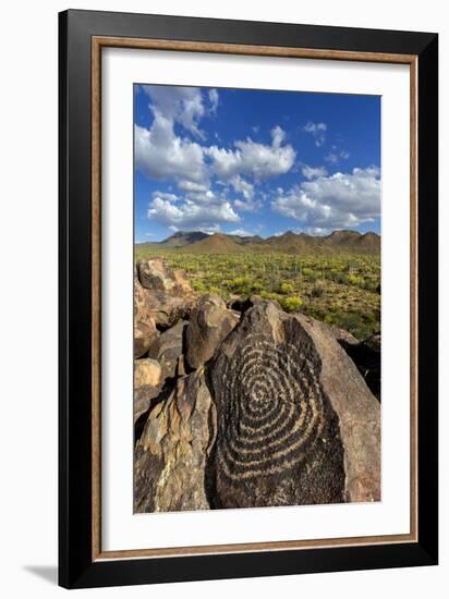 Saguaro National Park, Arizona-Ian Shive-Framed Photographic Print