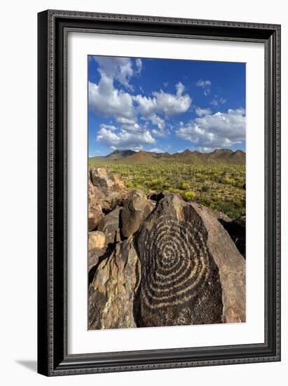 Saguaro National Park, Arizona-Ian Shive-Framed Photographic Print