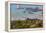 Saguaro National Park, Arizona-Ian Shive-Framed Premier Image Canvas