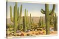 Stretched Canvas Print