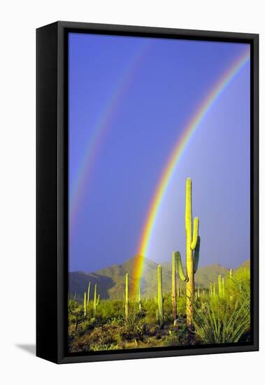 Saguaro Rainbow I-Douglas Taylor-Framed Premier Image Canvas