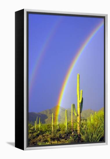 Saguaro Rainbow I-Douglas Taylor-Framed Premier Image Canvas