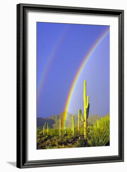 Saguaro Rainbow I-Douglas Taylor-Framed Photographic Print