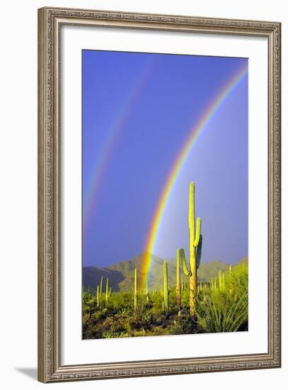 Saguaro Rainbow I-Douglas Taylor-Framed Photographic Print