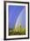 Saguaro Rainbow I-Douglas Taylor-Framed Photographic Print