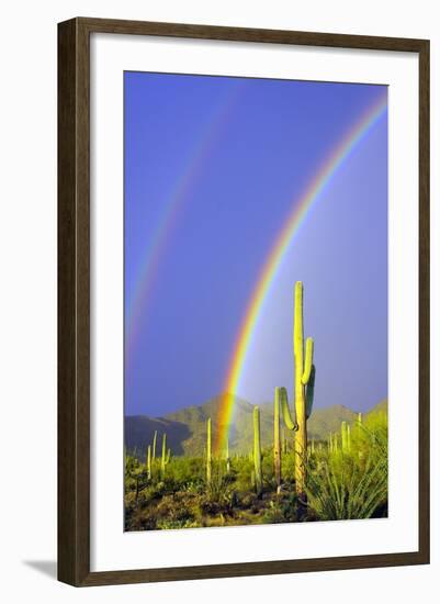 Saguaro Rainbow I-Douglas Taylor-Framed Photographic Print