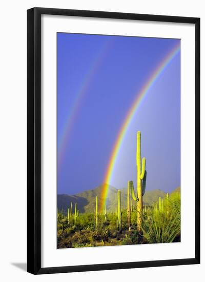 Saguaro Rainbow I-Douglas Taylor-Framed Photographic Print