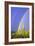 Saguaro Rainbow I-Douglas Taylor-Framed Photographic Print