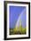 Saguaro Rainbow I-Douglas Taylor-Framed Photographic Print