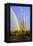 Saguaro Rainbow II-Douglas Taylor-Framed Premier Image Canvas