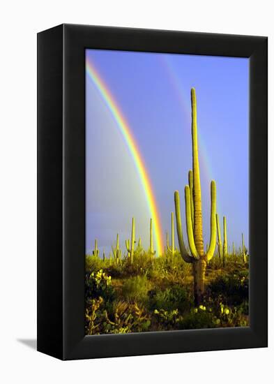 Saguaro Rainbow II-Douglas Taylor-Framed Premier Image Canvas