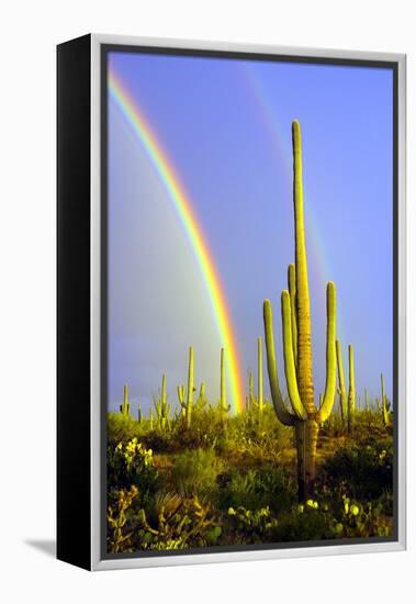 Saguaro Rainbow II-Douglas Taylor-Framed Premier Image Canvas