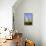 Saguaro Rainbow II-Douglas Taylor-Framed Premier Image Canvas displayed on a wall