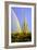 Saguaro Rainbow II-Douglas Taylor-Framed Photographic Print