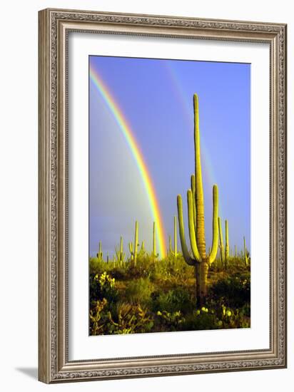 Saguaro Rainbow II-Douglas Taylor-Framed Photographic Print