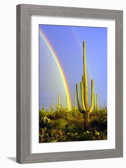 Saguaro Rainbow II-Douglas Taylor-Framed Photographic Print