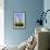 Saguaro Rainbow II-Douglas Taylor-Framed Photographic Print displayed on a wall