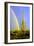 Saguaro Rainbow II-Douglas Taylor-Framed Photographic Print