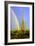 Saguaro Rainbow II-Douglas Taylor-Framed Photographic Print