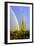 Saguaro Rainbow II-Douglas Taylor-Framed Photographic Print