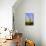 Saguaro Rainbow II-Douglas Taylor-Mounted Photographic Print displayed on a wall