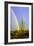 Saguaro Rainbow II-Douglas Taylor-Framed Photographic Print