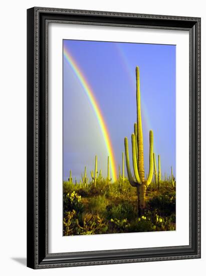 Saguaro Rainbow II-Douglas Taylor-Framed Photographic Print