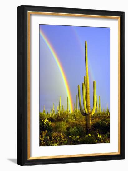 Saguaro Rainbow II-Douglas Taylor-Framed Photographic Print