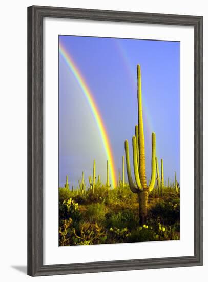 Saguaro Rainbow II-Douglas Taylor-Framed Photographic Print