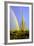 Saguaro Rainbow II-Douglas Taylor-Framed Photographic Print