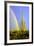 Saguaro Rainbow II-Douglas Taylor-Framed Photographic Print