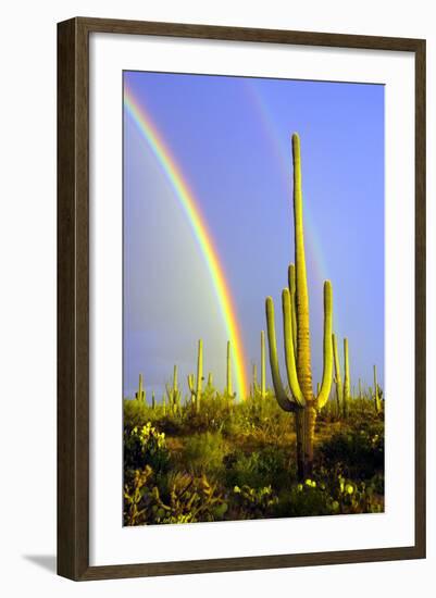 Saguaro Rainbow II-Douglas Taylor-Framed Photographic Print