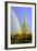 Saguaro Rainbow II-Douglas Taylor-Framed Photographic Print