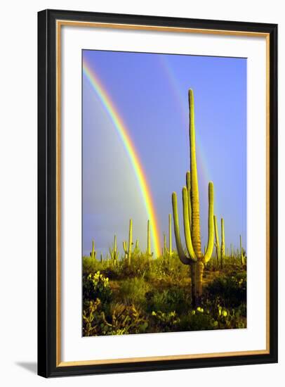 Saguaro Rainbow II-Douglas Taylor-Framed Photographic Print