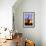 Saguaro Sunset-Douglas Taylor-Framed Photographic Print displayed on a wall