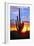 Saguaro Sunset-Douglas Taylor-Framed Photographic Print