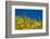 Saguaro, Tenderfoot Hills Park, Arizona, USA-Michel Hersen-Framed Photographic Print