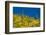 Saguaro, Tenderfoot Hills Park, Arizona, USA-Michel Hersen-Framed Photographic Print