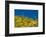 Saguaro, Tenderfoot Hills Park, Arizona, USA-Michel Hersen-Framed Photographic Print