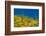 Saguaro, Tenderfoot Hills Park, Arizona, USA-Michel Hersen-Framed Photographic Print