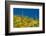 Saguaro, Tenderfoot Hills Park, Arizona, USA-Michel Hersen-Framed Photographic Print