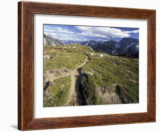 Sahale Peak Trail, North Cascade National Park, Washington, USA-William Sutton-Framed Photographic Print